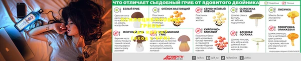 mdpv Алексеевка