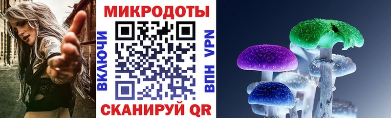 наркотики  Переславль-Залесский  Псилоцибиновые грибы Psilocybine cubensis 
